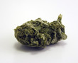 bud