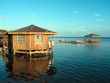 tropical bungalow - roatan honduras