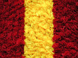carpet of flowers