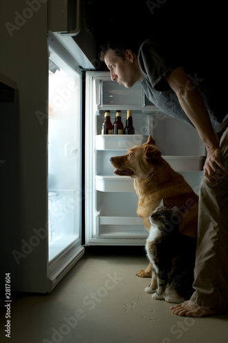 Photo: looking for food looking for food