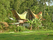 traditional toraja houses, rantepao, sulawesi island, indonesia