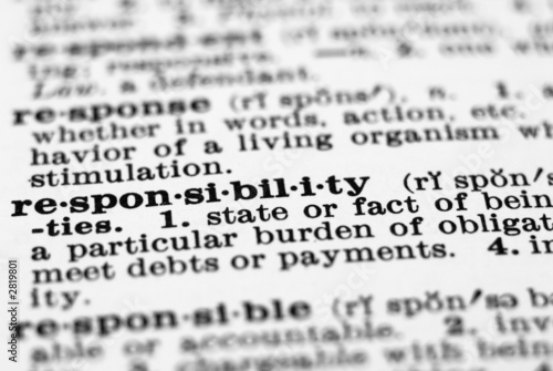 Responsibility definition essay