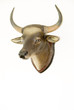 deer on a wall