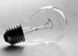 bulb bulb