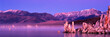 mono lake