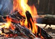 fire fire