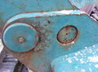 rost