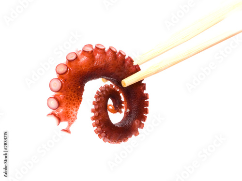octopus (tako) sushi sashimi