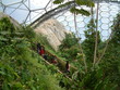 inside eden project biodome