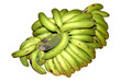 régime de bananes vertes