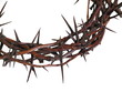 crown of thorns
