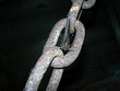 butterfly on the chain