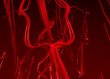 blood arteries and veins