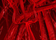 blood arteries and veins