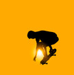skateboarder skateboarder