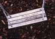 Swing