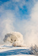 winter fog winter fog