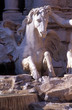 le cheval marin