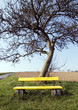 gelbe bank 1