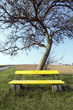 gelbe bank 2