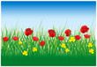 red flowers