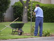 gardening