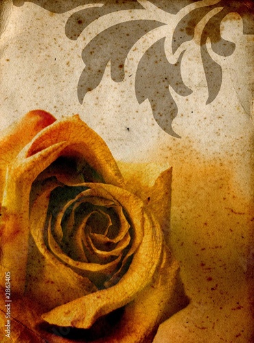 Illustration: warm rose background warm rose background