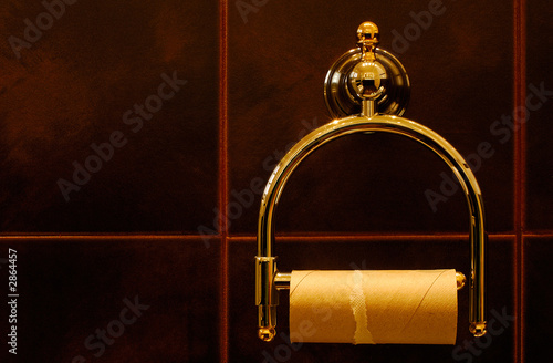 finished toilet paper roll