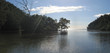 mangrove sea swamps, togians island, sulawesi, indonesia, panora