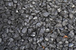 coal & leaves coal & leaves