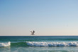 seagull flying seagull flying