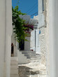kykladen insel paros
