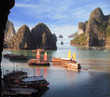 junks on halong bay junks on halong bay