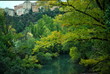 forest at cuenca forest at cuenca