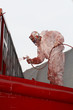 painter painter