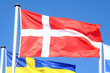 flagge