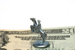 money and horese
