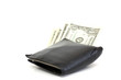 wallet with money