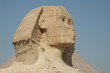 sphinx sphinx
