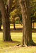 park