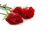 three red roses with water drops isolated on white