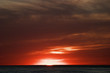 manly beach