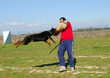 attaque de rottweiler