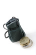 small purse with euro cents