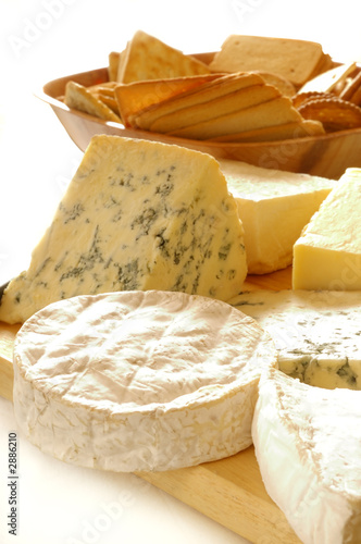 selection of cheeses