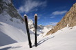 ski