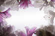 white flower frame over white background white flower frame over white background