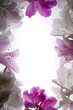 white flower frame over white background white flower frame over white background