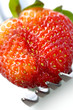 strawberry temptation strawberry temptation