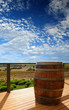 vineyard view